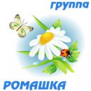 1267699517_romashka-2-291x300